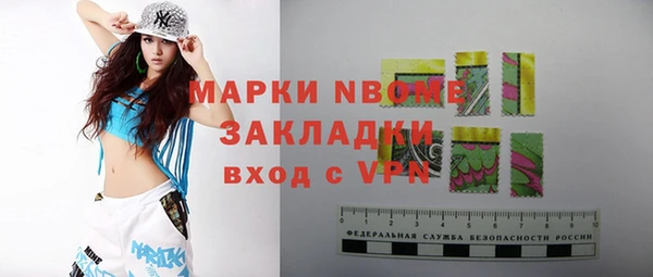 индика Арсеньев