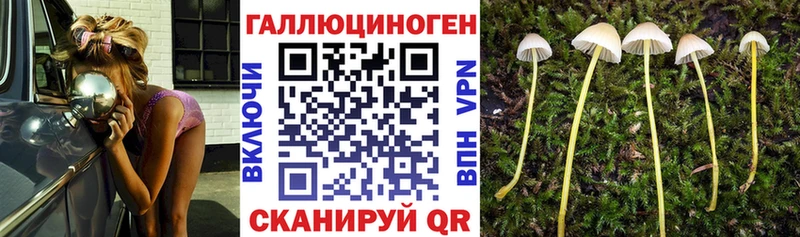 Галлюциногенные грибы мухоморы  Оленегорск 